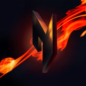 Allium aflatunense 'Purple Sensation'